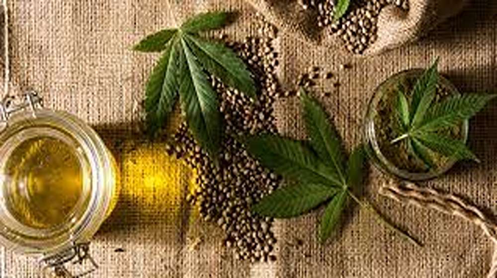 how to take cannabis oil