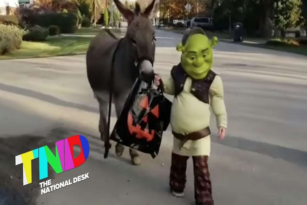 donkey from shrek costume